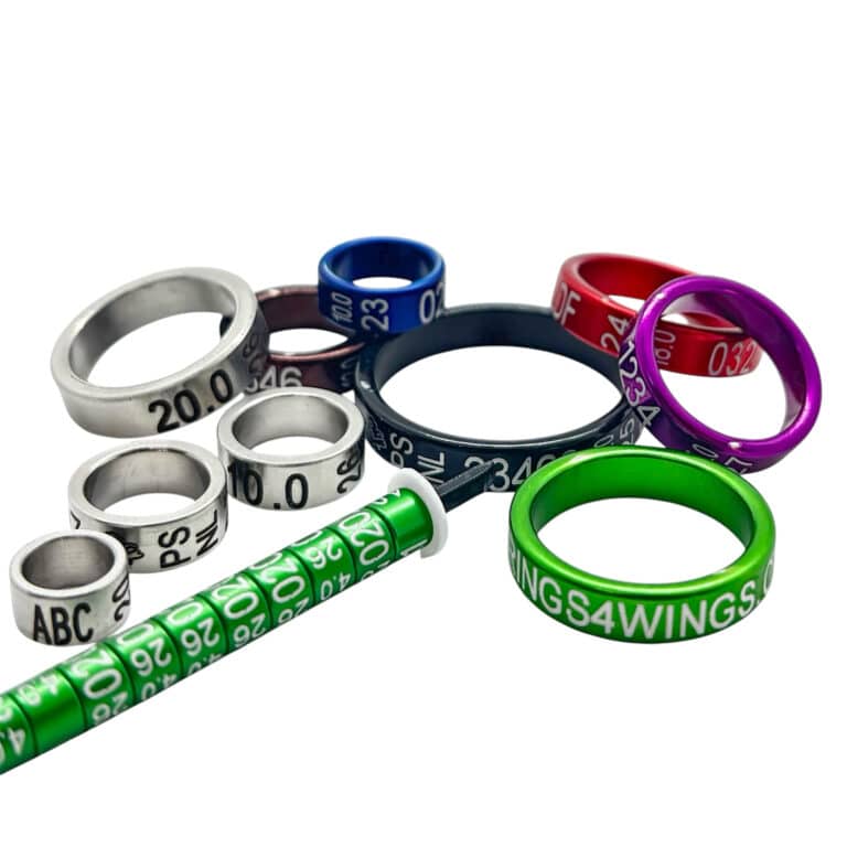 A4164A41-95B5-43C7-8F4E-5A3562EEE265