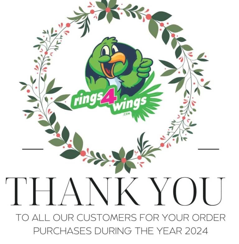 Thank you - 1